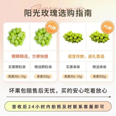 【产地直发】晴王阳光玫瑰葡萄鲜果无籽青提新鲜水果应季水 果现货图2