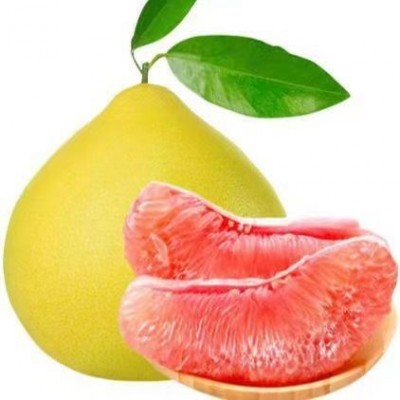 产地供应9斤装福建红心蜜柚产地直发当季应季新鲜水果红心柚子图3