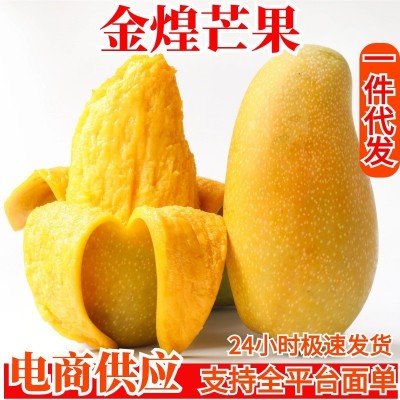 金煌芒果一件代发广西芒果金煌芒果当季新鲜芒果水果批发代发包邮图2