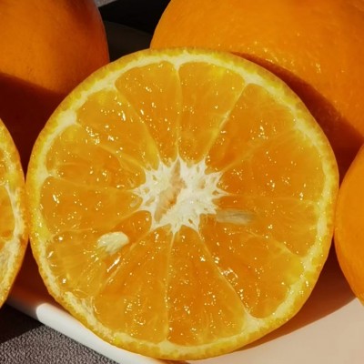 广西武鸣沃柑自家果园现摘现发当季新鲜纯甜水果图2