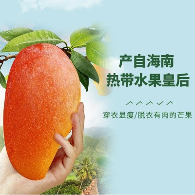 海南热带水果贵妃芒果 当季时令水果整件发货 新鲜采摘香甜多汁图4