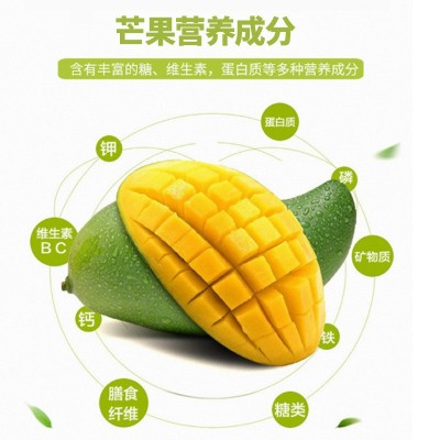 海南热带水果贵妃芒果 当季时令水果整件发货 新鲜采摘香甜多汁图3