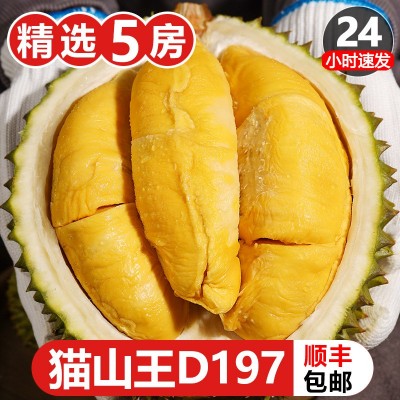马来西亚猫山王d197正宗液氮4头5头6头整箱源头直供冷冻带壳整果图2