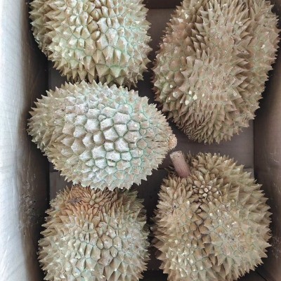 泰国液氮金枕头榴莲猫山王干尧整箱巴掌榴莲整果24斤带壳新鲜水果图2