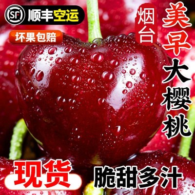 现货顺丰包邮5斤特大果当季山东美早大樱桃国产车厘子新鲜水果图3