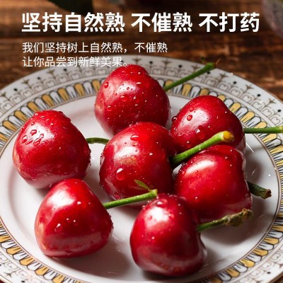 现货顺丰包邮5斤特大果当季山东美早大樱桃国产车厘子新鲜水果图4