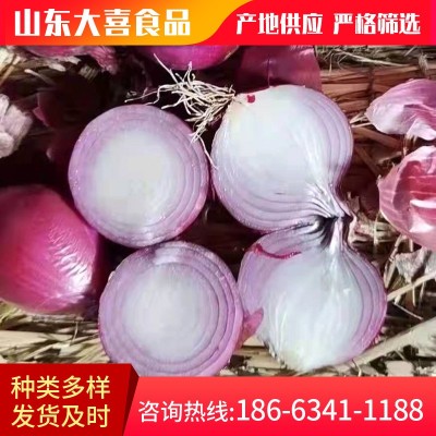 全年供应新鲜purple onion 黄葱 出口马来西亚 泰国 新鲜小红洋葱图5