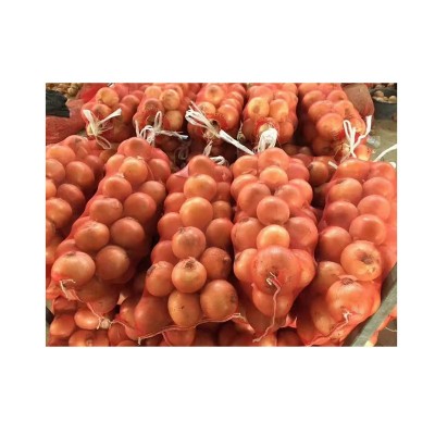 全年供应新鲜purple onion 黄葱 出口马来西亚 泰国 新鲜小红洋葱图4