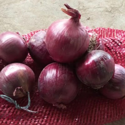 供应出口洋葱3-5cm红洋葱5-8cm黄洋葱20KG网袋purple onion图4
