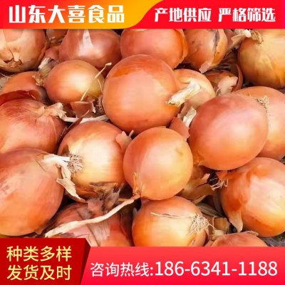 供应出口洋葱3-5cm红洋葱5-8cm黄洋葱20KG网袋purple onion图3