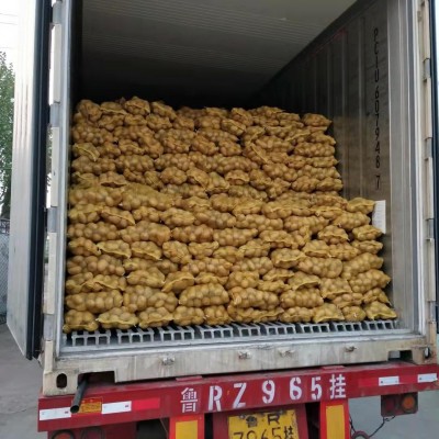 粉糯农家新鲜蔬菜土豆 山东莱芜特产黄心土豆 黄皮大土豆马铃薯图3