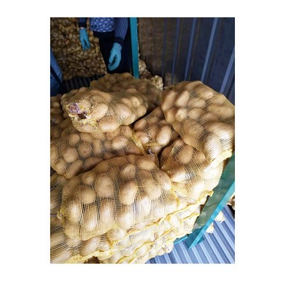 粉糯农家新鲜蔬菜土豆 山东莱芜特产黄心土豆 黄皮大土豆马铃薯图5