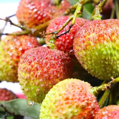 【顺丰速运】海南妃子笑荔枝当季新鲜孕妇水果皮薄核小整箱批发图2