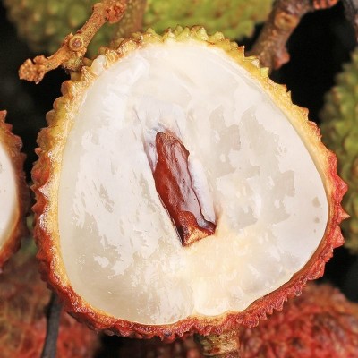 【顺丰速运】海南妃子笑荔枝当季新鲜孕妇水果皮薄核小整箱批发图4