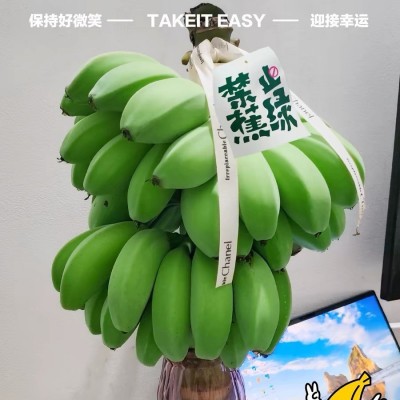 【禁止蕉绿】网红水培盆栽小米蕉香蕉带把发货可观赏食用桌面绿植图2