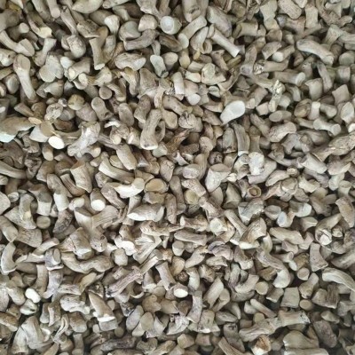 产地直供B香菇脚通货 基地香菇批发零售香菇柄腿 工厂直发500g图4