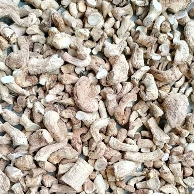 产地直供B香菇脚通货 基地香菇批发零售香菇柄腿 工厂直发500g图2