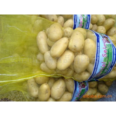 山东黄心土豆马铃薯图3
