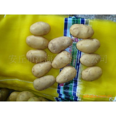 山东黄心土豆马铃薯图2