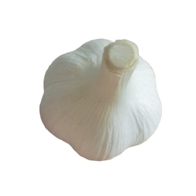 山东苍山四六瓣大蒜兰陵46瓣苍山大蒜蒜头批发零售白皮蒜苍山大蒜图4