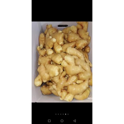 新鲜山东大姜生姜批发月子姜干净水洗出口内销农家老姜土姜菜姜图3