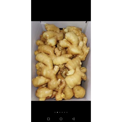 新鲜山东大姜生姜批发月子姜干净水洗出口内销农家老姜土姜菜姜图4