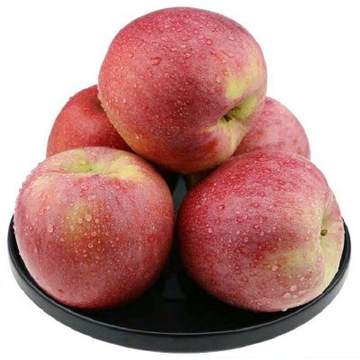 【需要放粉面】陕西秦冠苹果可脆可粉老树新鲜水果丑苹果冰糖心甜图5