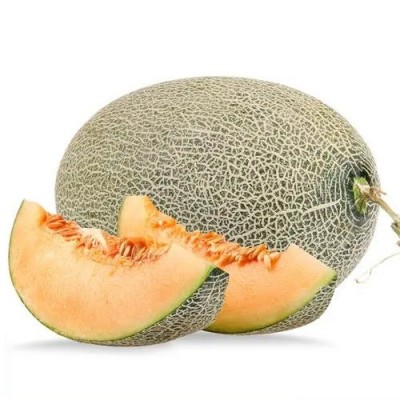 正宗新疆哈密瓜吐鲁番西州蜜25号当季新鲜产地顺丰包邮图4