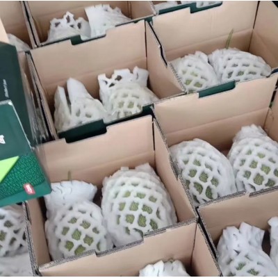 正宗新疆哈密瓜吐鲁番西州蜜25号当季新鲜产地顺丰包邮图3