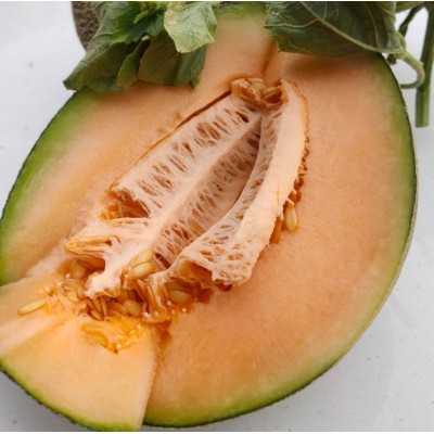 正宗新疆哈密瓜吐鲁番西州蜜25号当季新鲜产地顺丰包邮图2