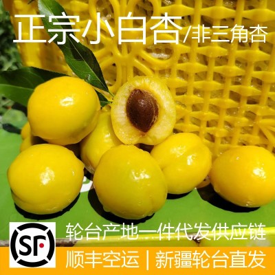 新疆轮台小白杏子新鲜水果库车甜杏子应季孕妇4斤顺丰空运包邮图2