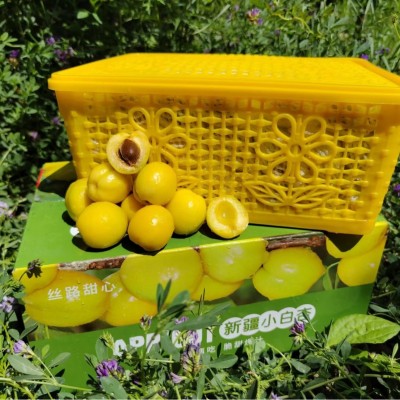 新疆轮台小白杏子新鲜水果库车甜杏子应季孕妇4斤顺丰空运包邮图3