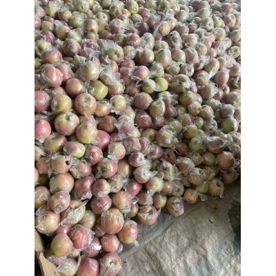 陕西礼泉膜袋丑苹果9.7斤现摘现发脆甜多汁新鲜水果红富士苹果图4