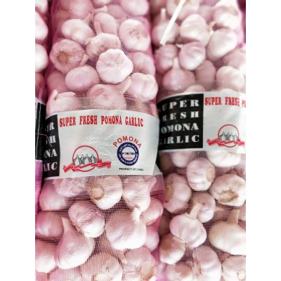 大量供应山东大蒜,干蒜,鲜蒜、市场蒜。蒜米料,出口大蒜图2