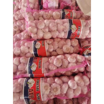 大量供应山东大蒜,干蒜,鲜蒜、市场蒜。蒜米料,出口大蒜图4