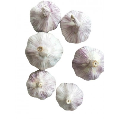 大量供应山东大蒜,干蒜,鲜蒜、市场蒜。蒜米料,出口大蒜图5