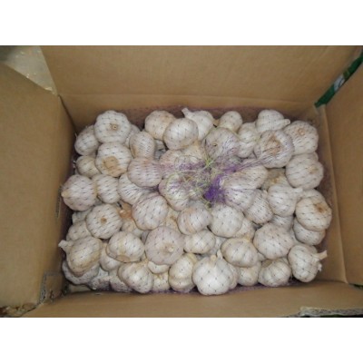 大蒜公司，源头工厂供应金乡出口大蒜，超市大蒜图4
