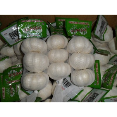 大蒜公司，源头工厂供应金乡出口大蒜，超市大蒜图3