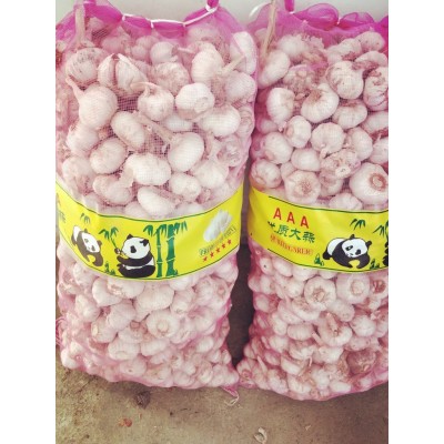 大蒜公司，源头工厂供应金乡出口大蒜，超市大蒜图2