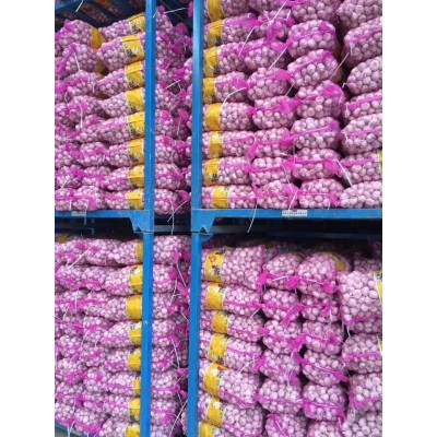 大蒜公司，源头工厂供应金乡出口大蒜，超市大蒜图5