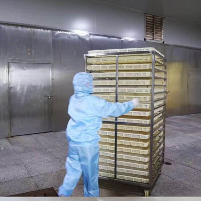 源头工厂 5A大芒果干 散装批发微商零食源头工厂新型食品果干蜜饯图3