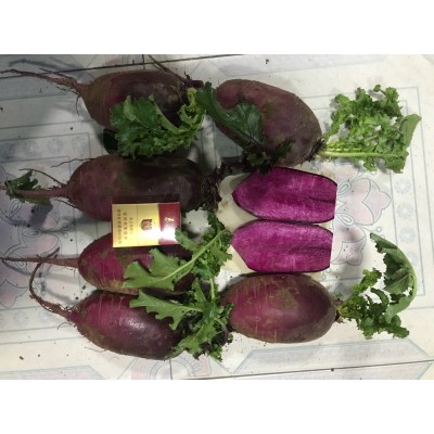 优惠销售水果青萝卜，青皮青瓤及紫红皮紫红瓤萝卜，甜脆可口图4