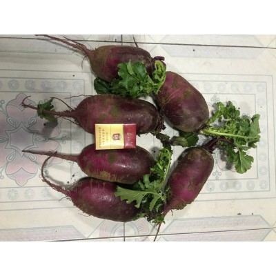 优惠销售水果青萝卜，青皮青瓤及紫红皮紫红瓤萝卜，甜脆可口图5