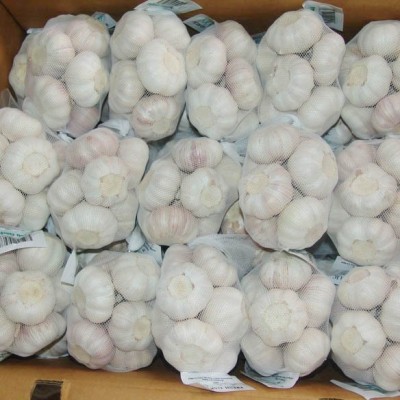 大蒜常年加工出口-2024新蒜图2