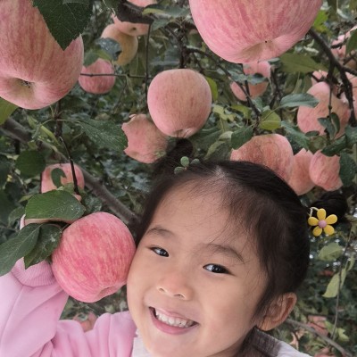 正宗烟台红富士苹果条纹片红3斤5斤9斤包邮栖霞烟台红富士礼盒图4