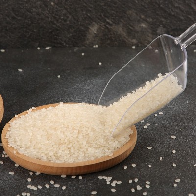 2024东北珍珠米20斤装 特产大米袋装 珍珠米10kg农产品厂家批发图4