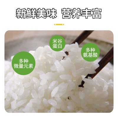 东北大米稻花香2号香米非五常厂家直销批发新米宁安响水石板大米图4