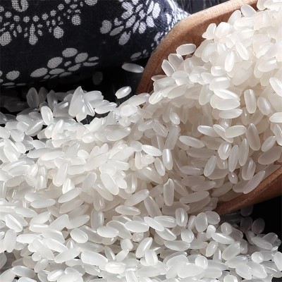 金龙鱼长粒香大米5kg*4袋东北大米长粒米5公斤 袋装家用大米10斤图3