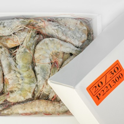 203040桑塔盐冻虾厄瓜多尔白虾海捕大虾基围虾冷冻新鲜大虾鲜活虾图4