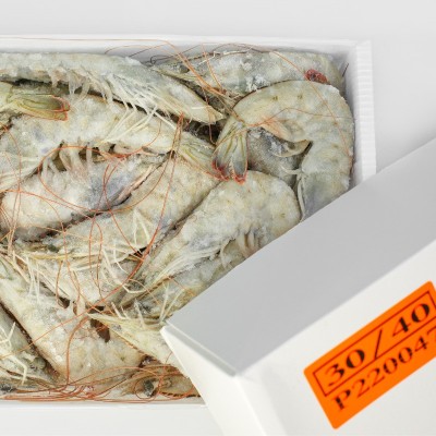 203040桑塔盐冻虾厄瓜多尔白虾海捕大虾基围虾冷冻新鲜大虾鲜活虾图3